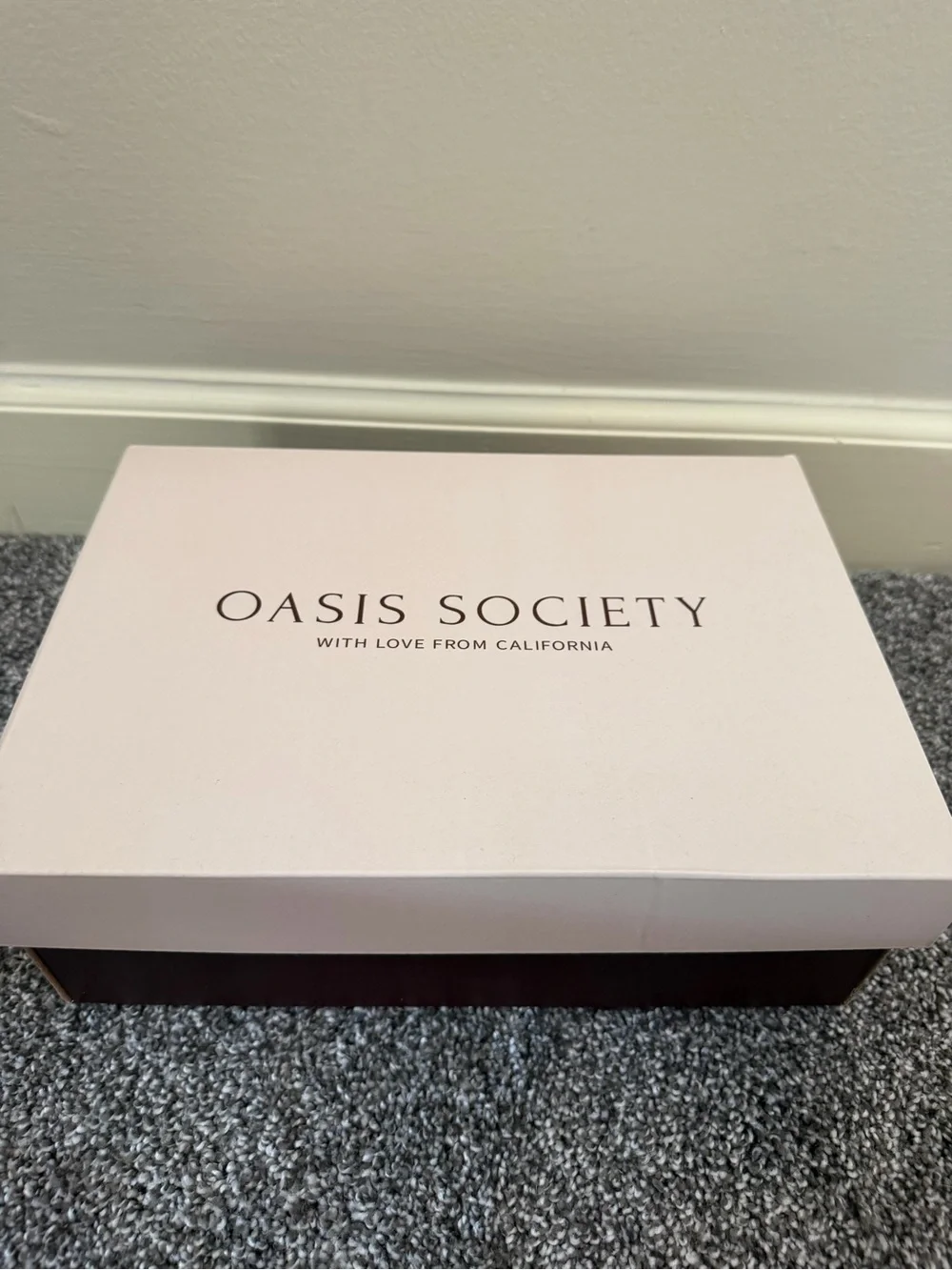 Oasis Society Clear-Strap Natural Woven Block Heel Mules